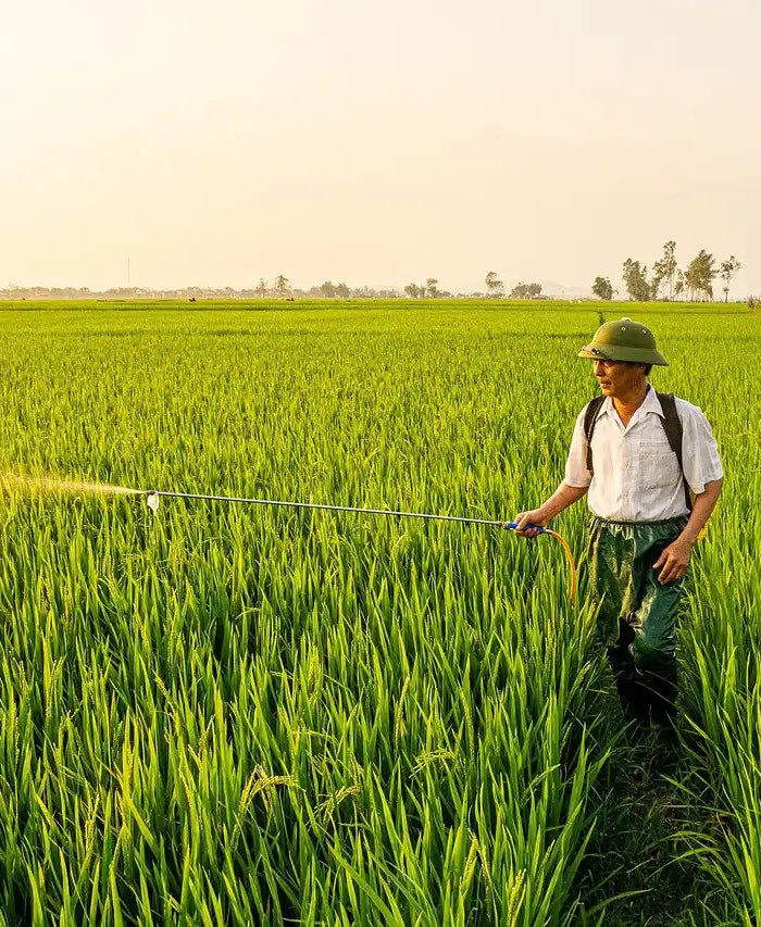 <h1>Désherbage</h1>