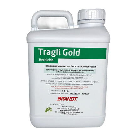 Tragli Gold
